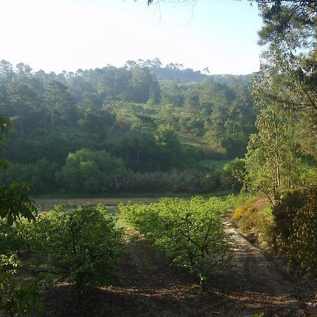 Quinta Da Vida Serena Acomodação com café da manhã Alfeizerão Exterior foto