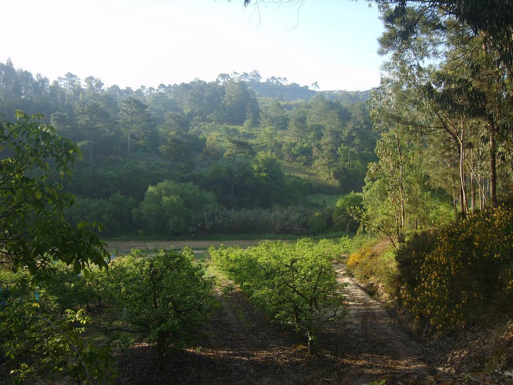 Quinta Da Vida Serena Acomodação com café da manhã Alfeizerão Exterior foto